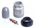 STANDARD IGN auto part