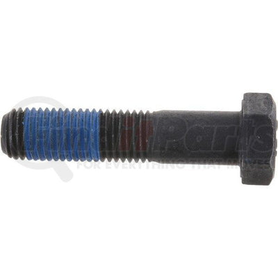 CAPSCREW