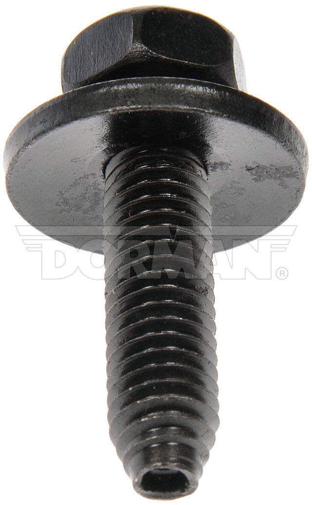 BODY BOLT
