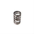 Valve Spring