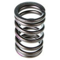 Valve Spring