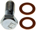 BLEEDER SCREW