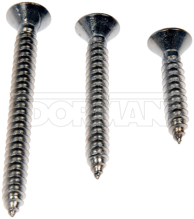 SS OVAL HEAD SCREW