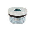 PIPE PLUG 3/4 HX SOCK BOSS O-RING S