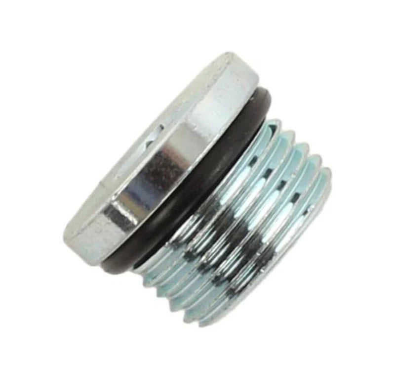 PIPE PLUG 3/4 HX SOCK BOSS O-RING S