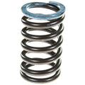 Valve Spring