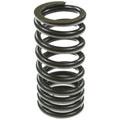 Valve Spring