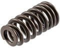 Valve Spring