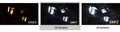 Diode Dynamics 28mm SMF1 LED Bulb - Blue (Single)