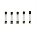 FUSE AGC 10A