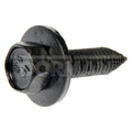 BODY BOLT