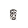 Valve Spring
