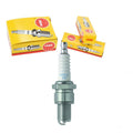 NGK Standard Spark Plug Box of 6 (BR6ES BLYB)