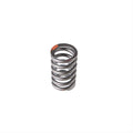 Valve Spring