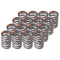 Valve Spring