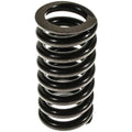 Valve Spring