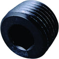 Fragola 1/4 NPT Pipe Plug- Internal Black