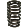 Valve Spring