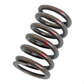 VALVE SPRINGS50 PCS PER BOX