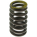 Valve Spring