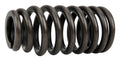 Valve Spring