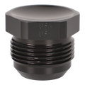 1/8in Allen Head Pipe Plug (2pk) Black