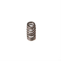 Valve Spring
