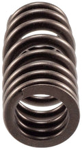 Valve Spring