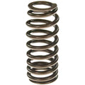 Valve Spring