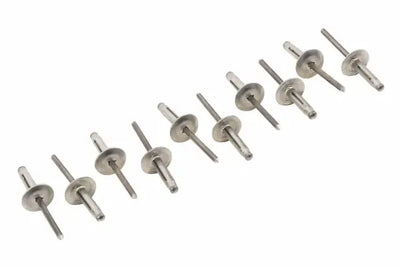 RIVET