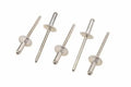 RIVET