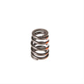 Valve Spring