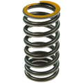 Valve Spring
