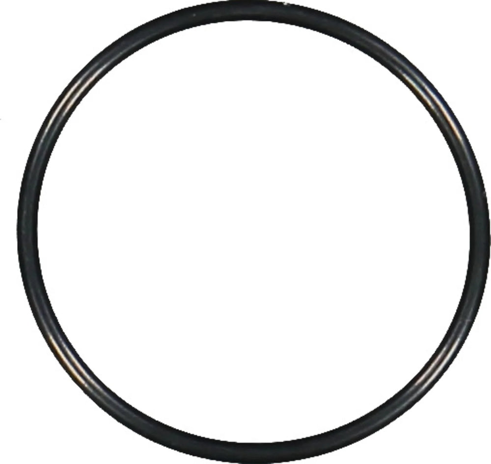 Engine Coolant Thermostat Housing Seal - 71-13566-00