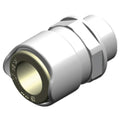 WHALE auto part