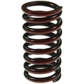 Valve Spring