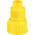 OIL SPOUT