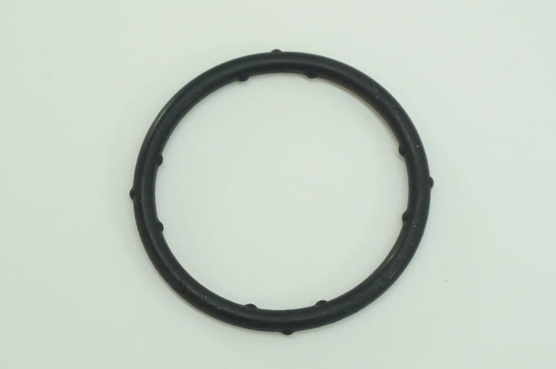 THERMOSTAT GASKET