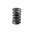 Valve Spring