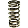 Valve Spring