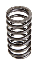 Valve Spring