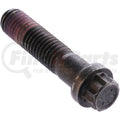 SCREW-12 POINT CAP