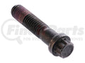 SCREW-12 POINT CAP