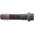 SCREW-12 POINT CAP