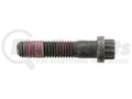 SCREW-12 POINT CAP