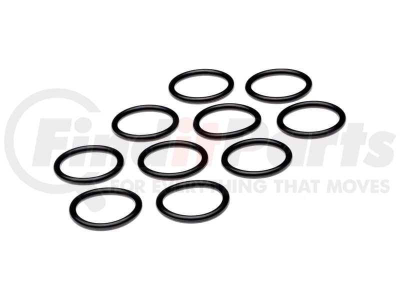 O-RING FOR FLANGE FITTING