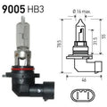 BULB 9005/HB3 12V 65W P20D T4