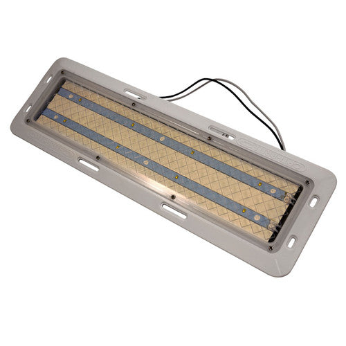 LICENSE LIGHT;ARMORED;CHROME PLATED