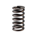 Valve Spring