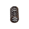 Valve Spring